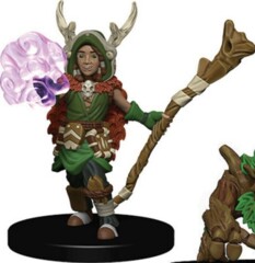 Boy Druid        Wardling Minis